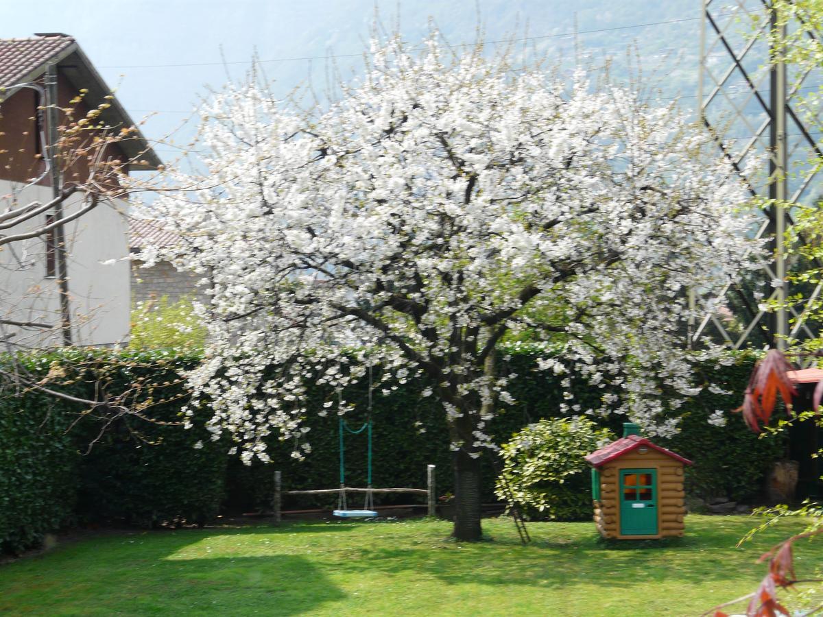 Bed and Breakfast La Casa Di Clara Esine Экстерьер фото