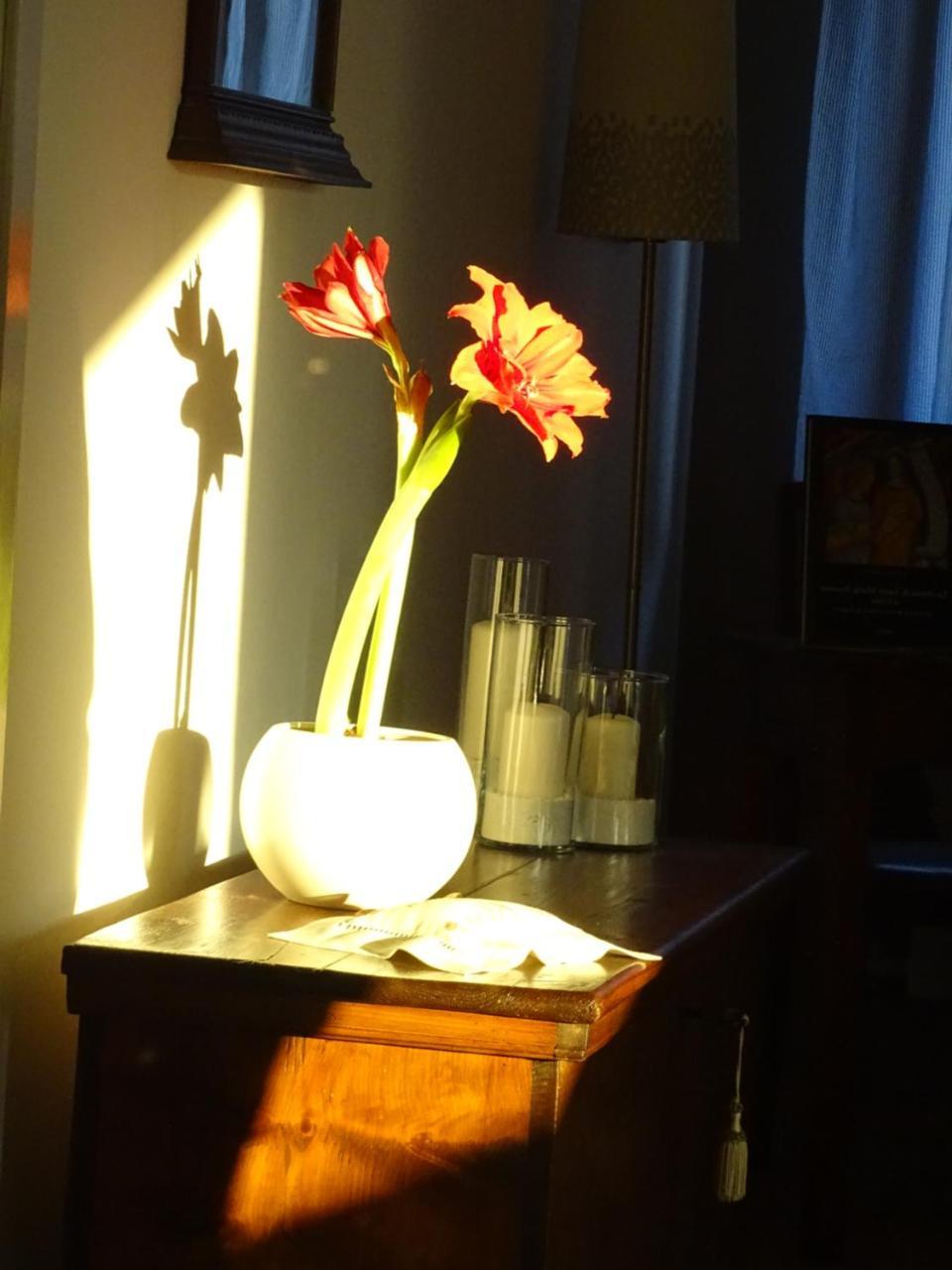 Bed and Breakfast La Casa Di Clara Esine Экстерьер фото